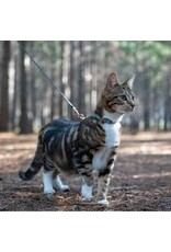 Rogz Rogz Harnais + Laisse Urban Cat (9-15'')
