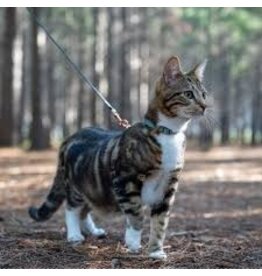 Rogz Rogz Harnais + Laisse Urban Cat (9-15'')