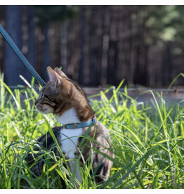 Rogz Rogz Collier Urban Cat (8-12'')