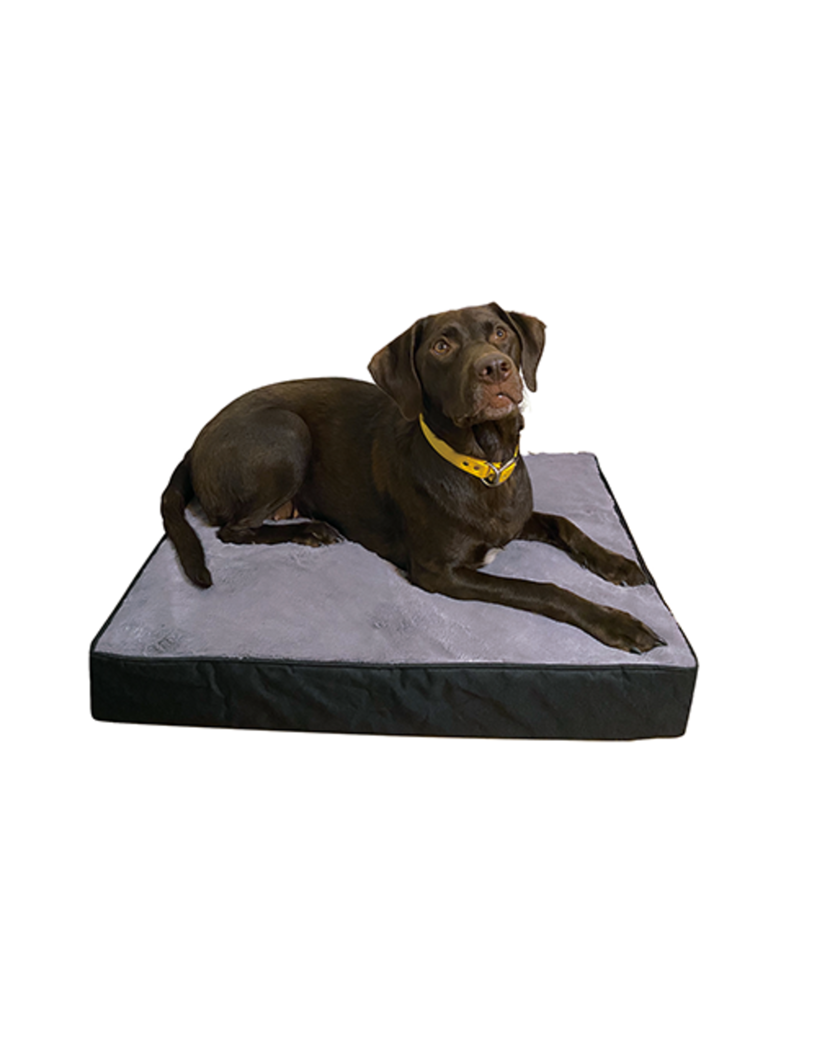 Ruff Love Ruff Love lit orthopedic gris 30x40''