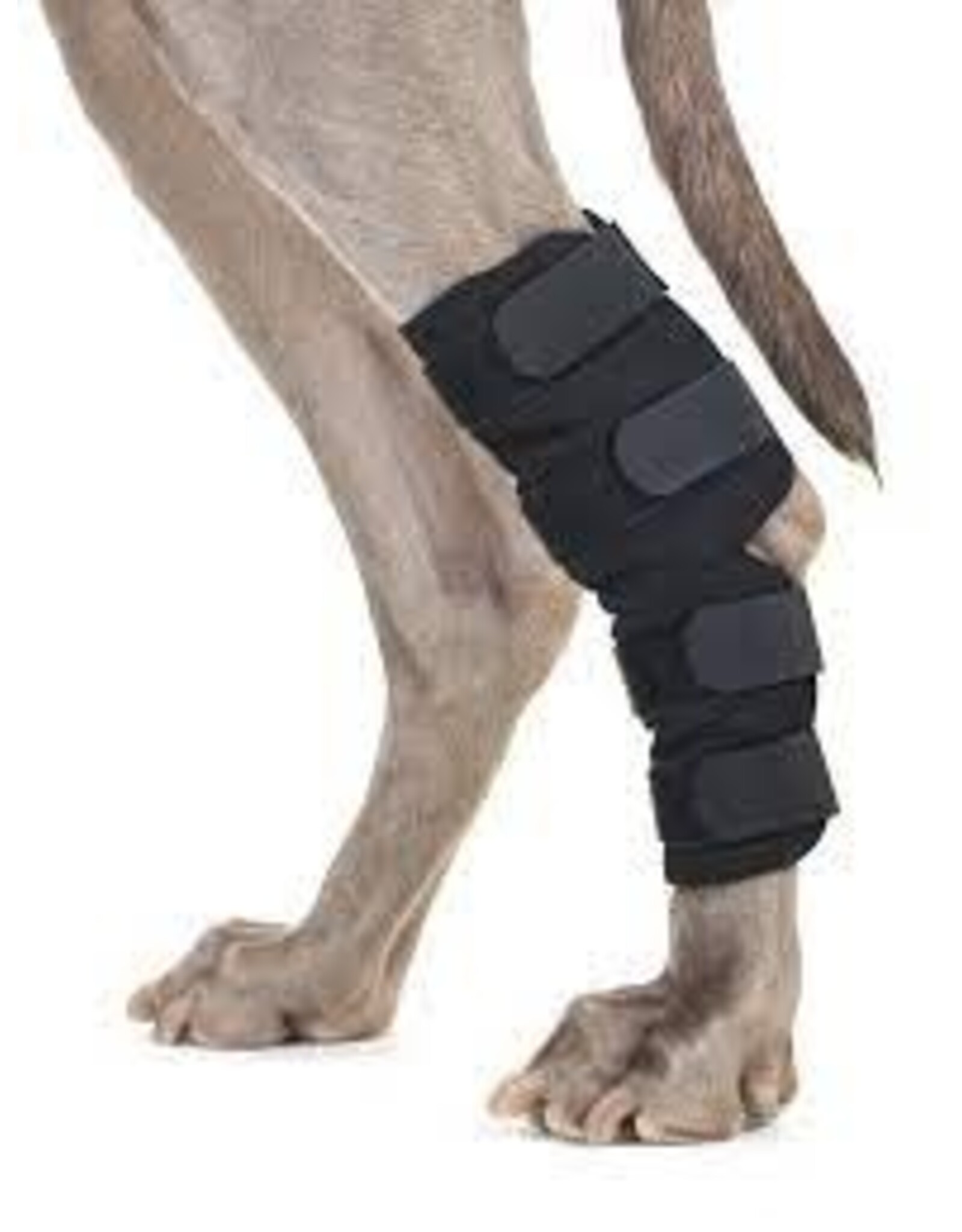 Back on Track Back on Track Hock Brace