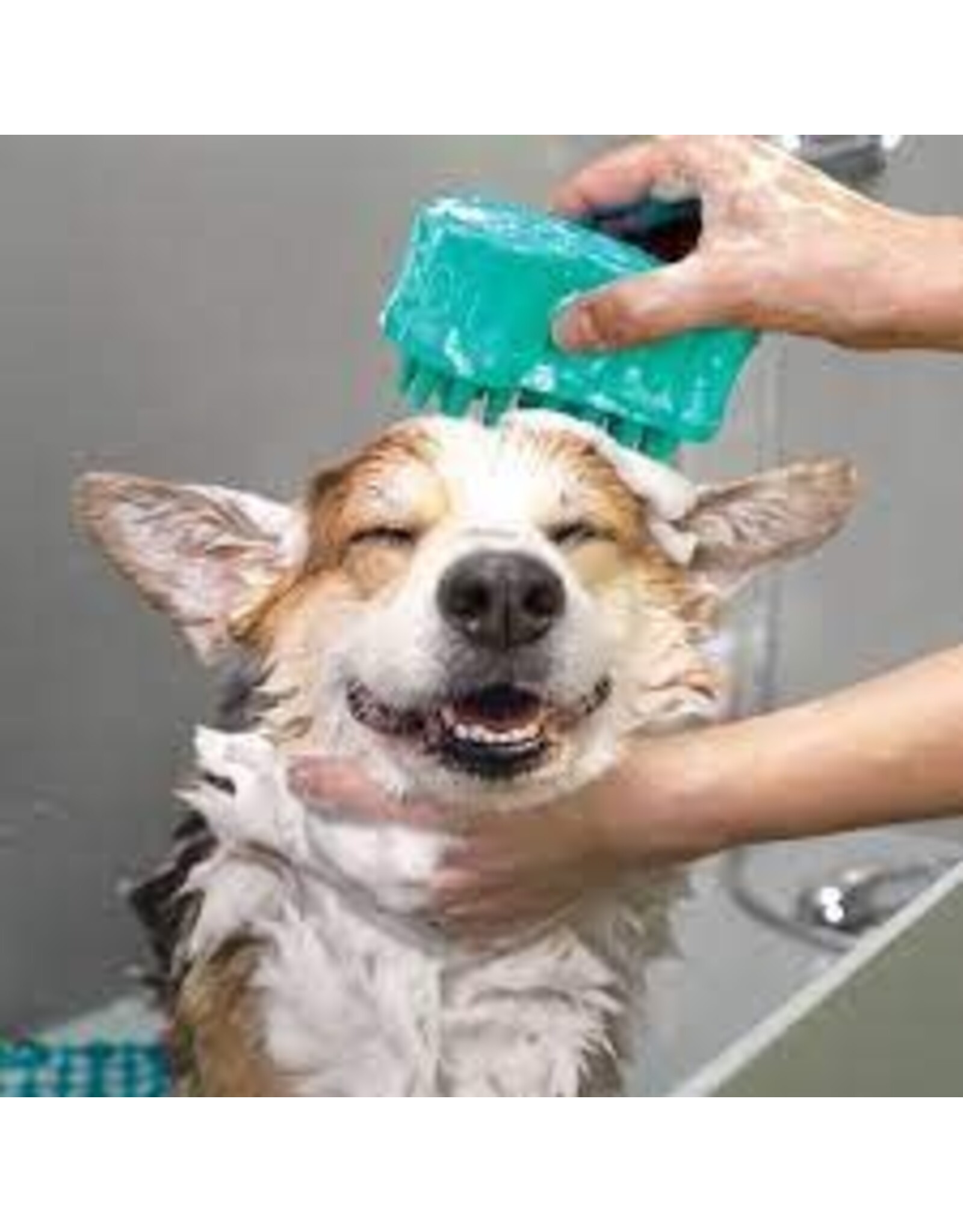 kong Kong ZoomGroom Bubbles Large