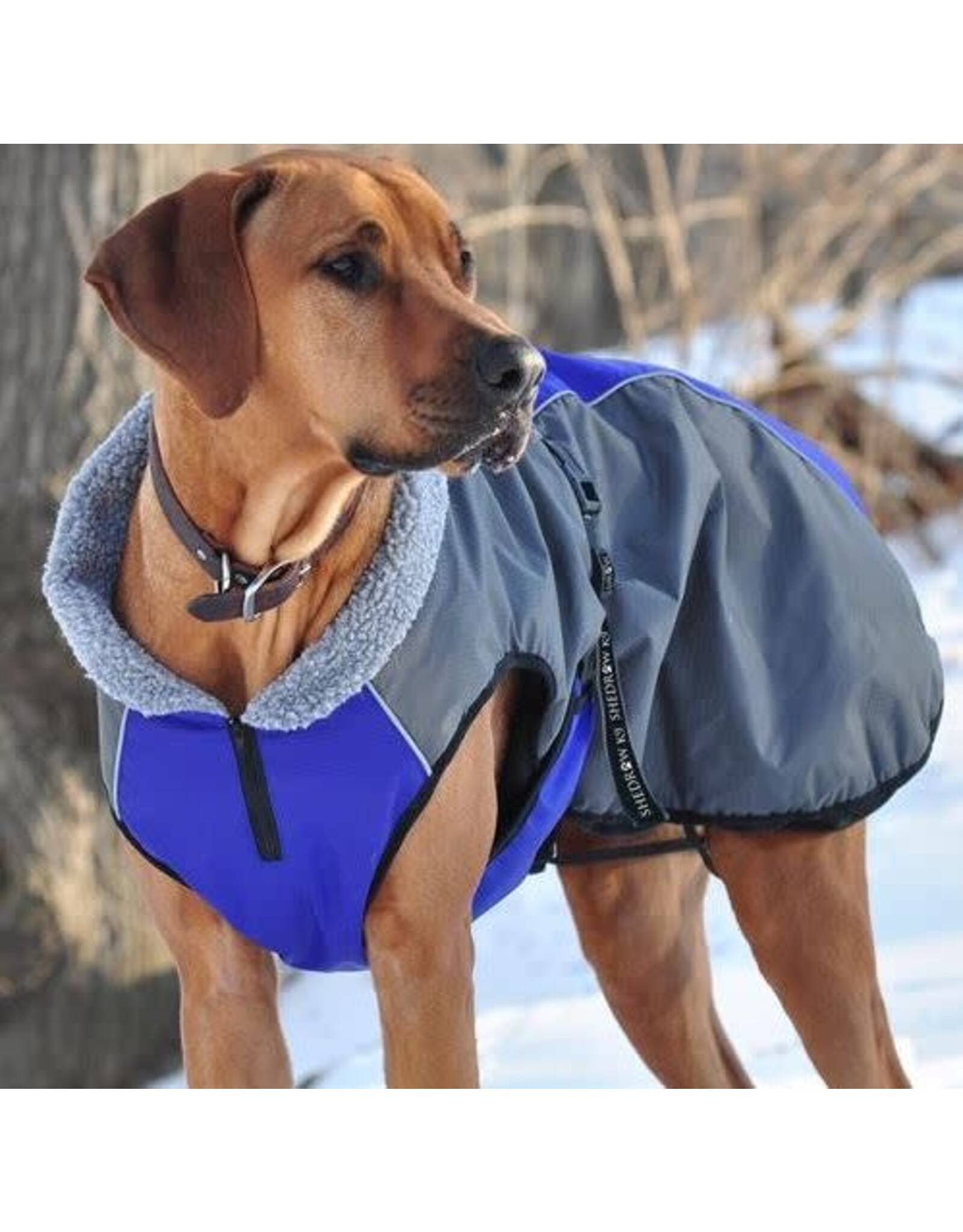 Shedrow K9 Chinook manteau Bleu