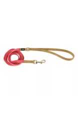 Coastal Li'l Pals laisse 3/8'' X6' PNK06