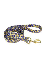 Coastal Coastal Accent Laisse CBD 5/8''x6'
