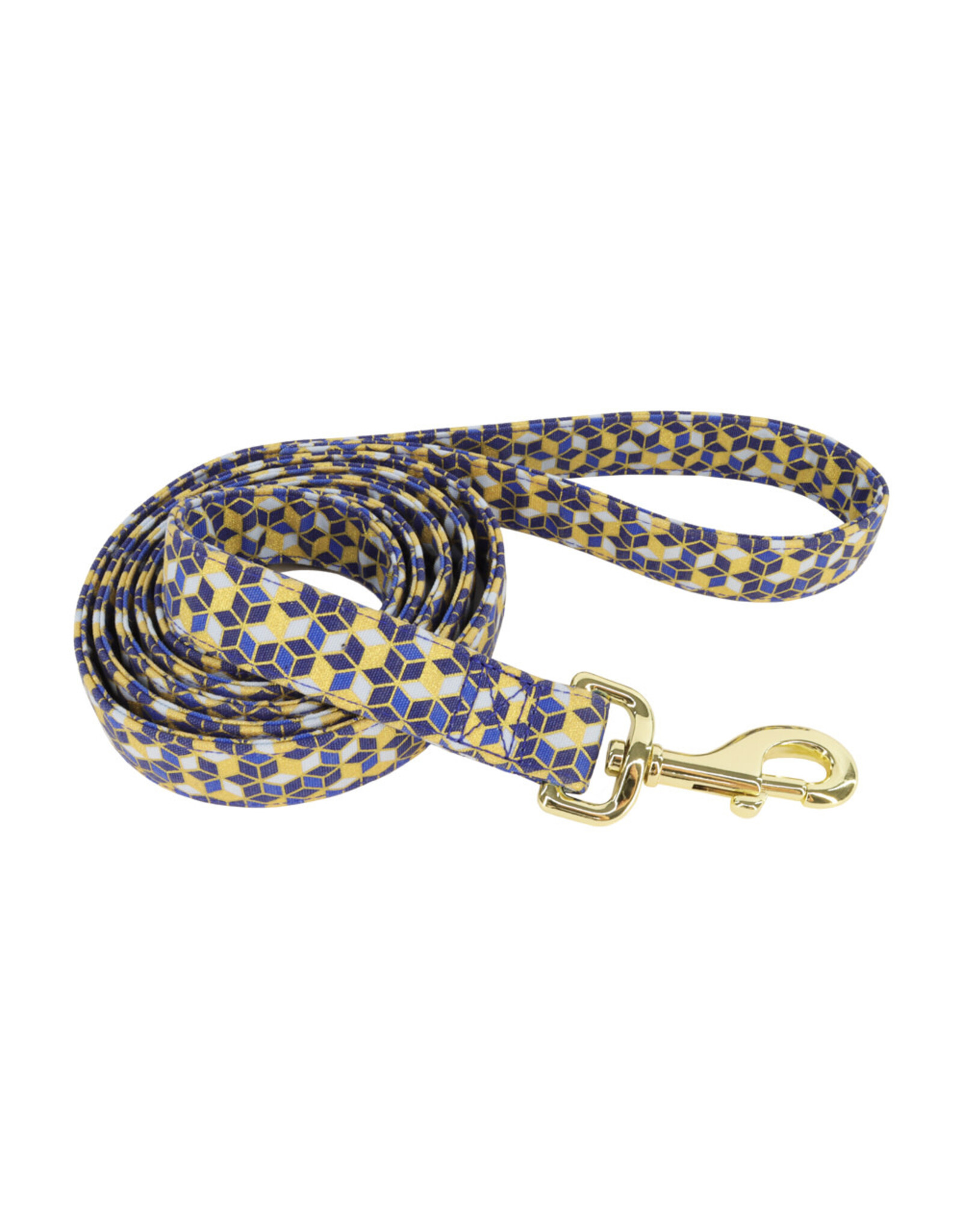Coastal Coastal Accent Laisse CBD 5/8''x6'