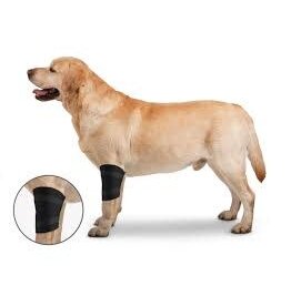 ZenPet Zenpet Ortho wrap coude
