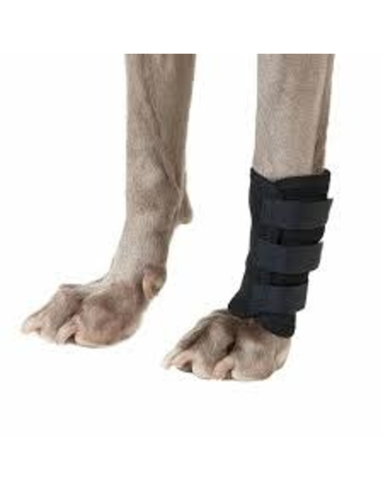 Back on Track Back on Track Leg Wrap