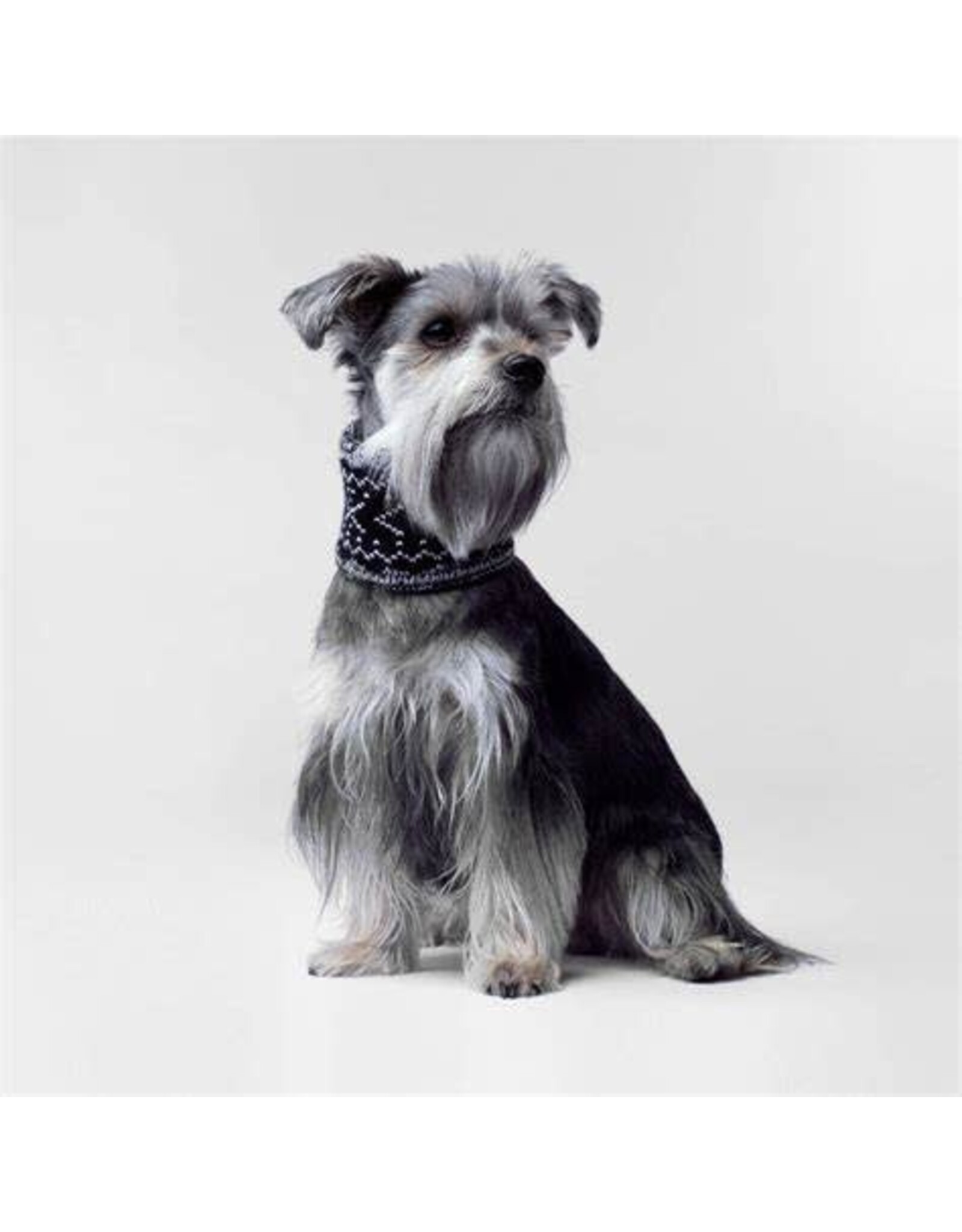 canada pooch *DISC* Canada Pooch foulard poivre