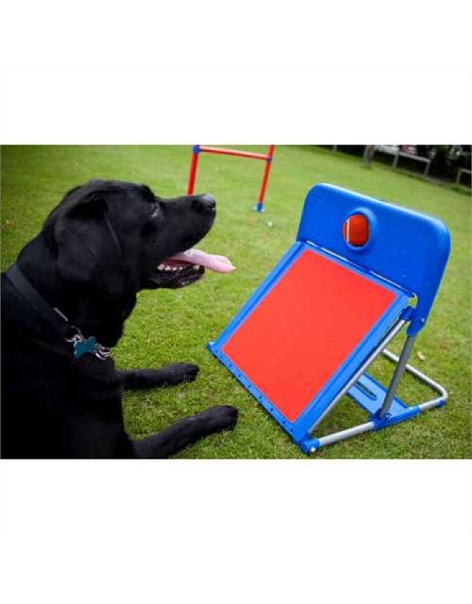 Lixit *DISC* Lixit Agility fun Flyball