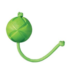 Rogz *DISC* Rogz Flingz balle avec corde vert