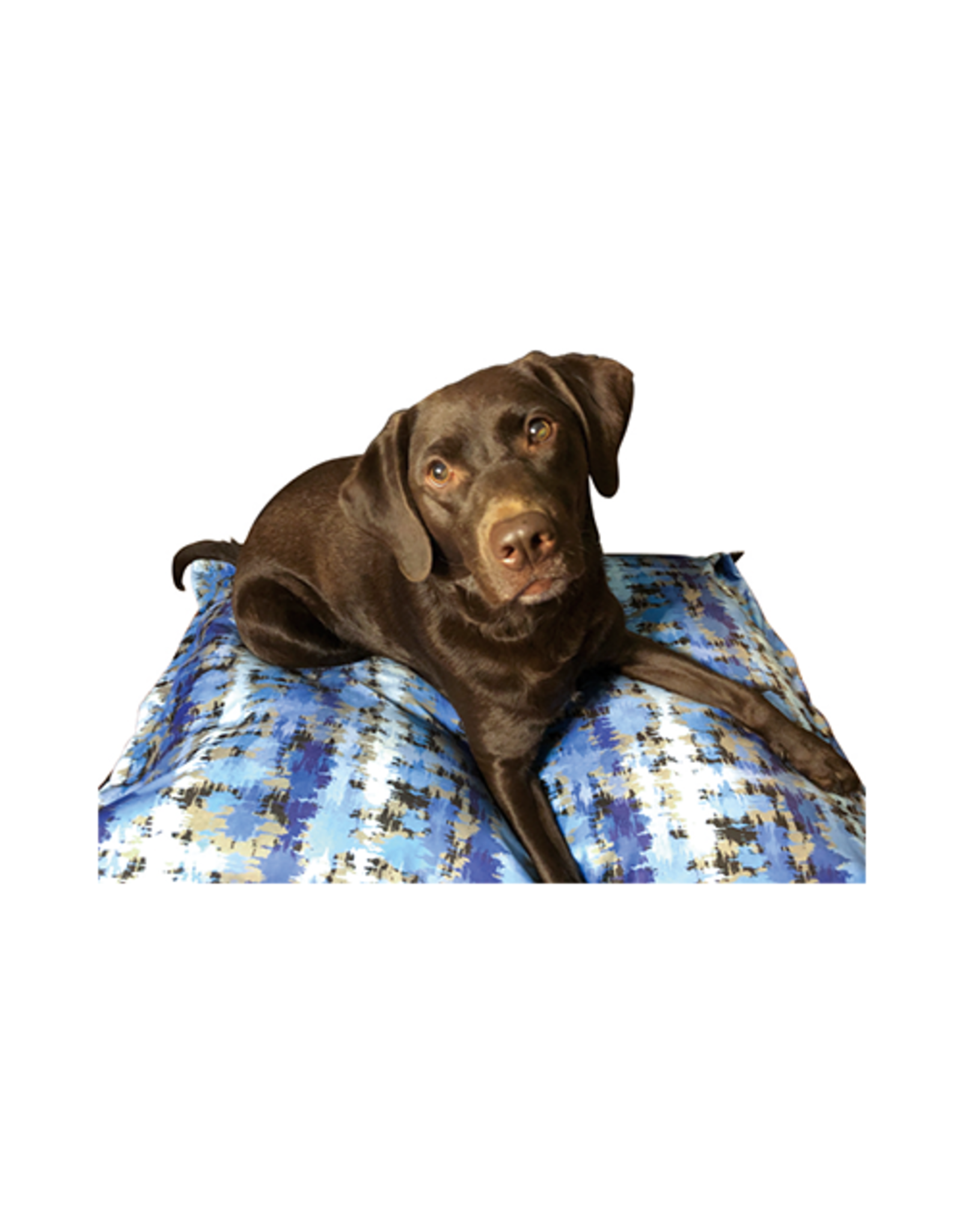 Ruff Love *DISC* Ruff Love lit cloud pillow Sibohri 27x36