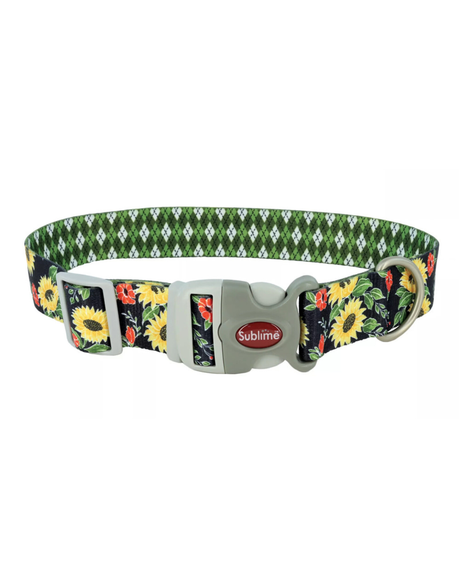 Coastal Coastal Sublime Collier SUF S 3/4''x8-12''