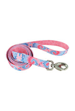 Coastal *DISC* Coastal Sublime Laisse PKT 1''x6'