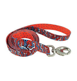 Coastal Coastal Sublime Laisse RBG 1''x6'