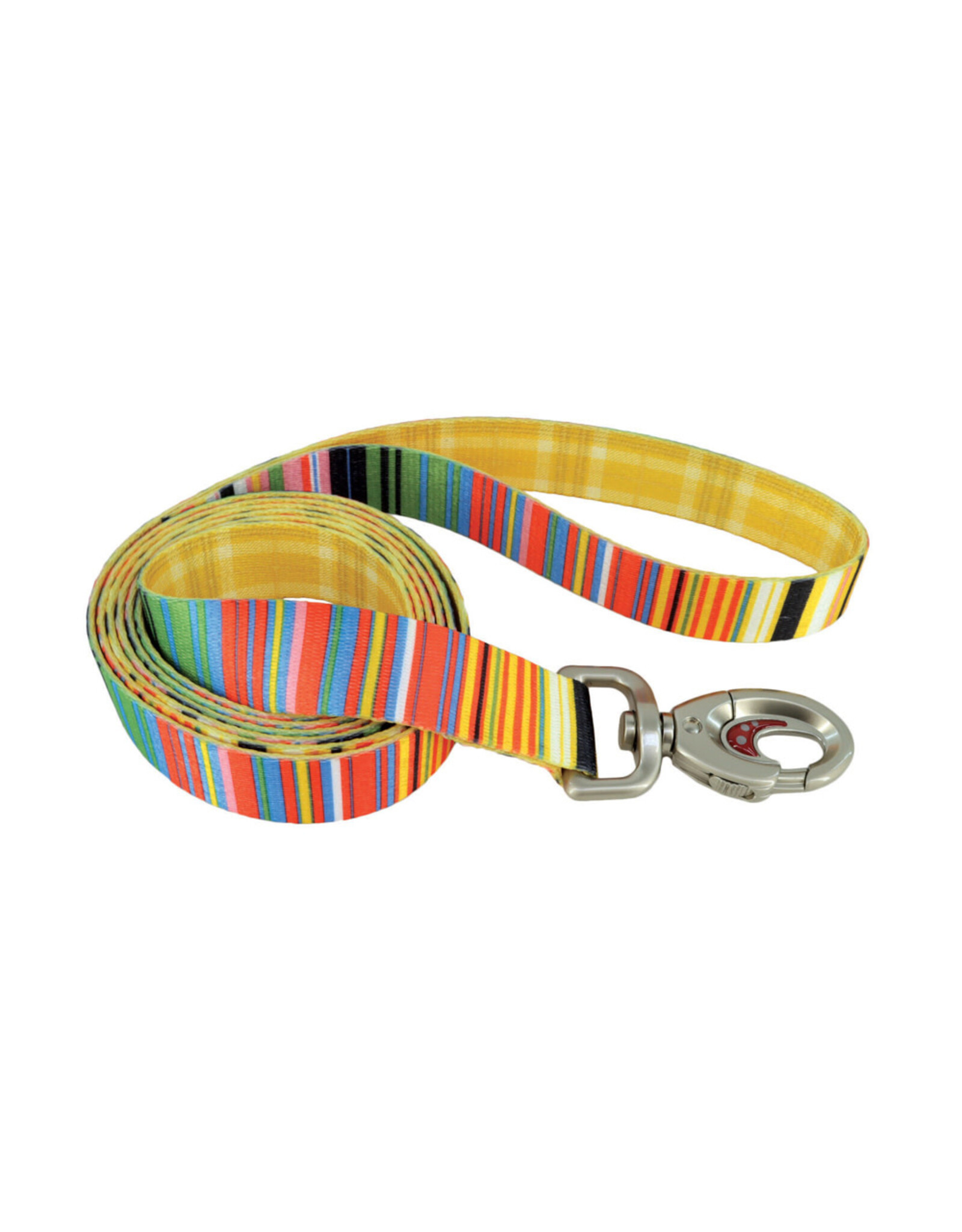 Coastal *DISC* Coastal Sublime Laisse SLS 1''x6'
