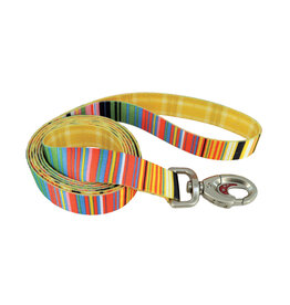 Coastal *DISC* Coastal Sublime Laisse SLS 1''x6'