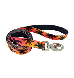 Coastal Coastal Sublime Laisse SNP 1''x6'