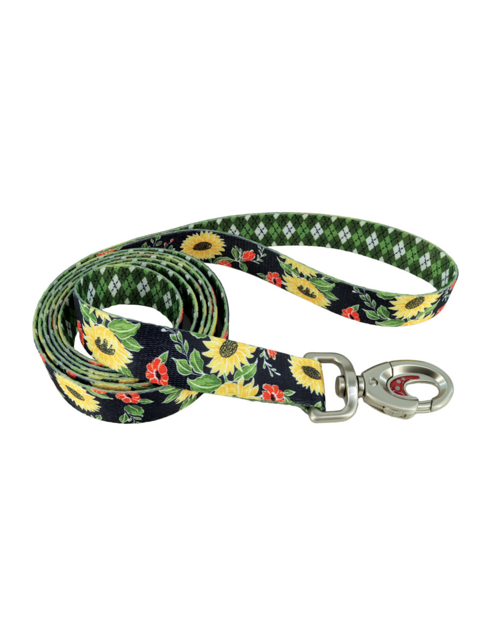 Coastal *DISC* Coastal Sublime Laisse SUF 1''x6'