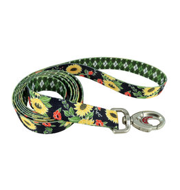 Coastal Coastal Sublime Laisse SUF 1''x6'