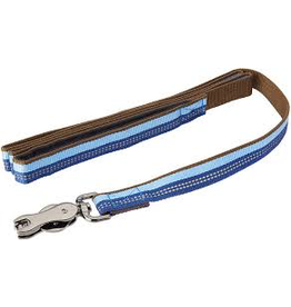 Coastal K9 Explorer laisse 6'