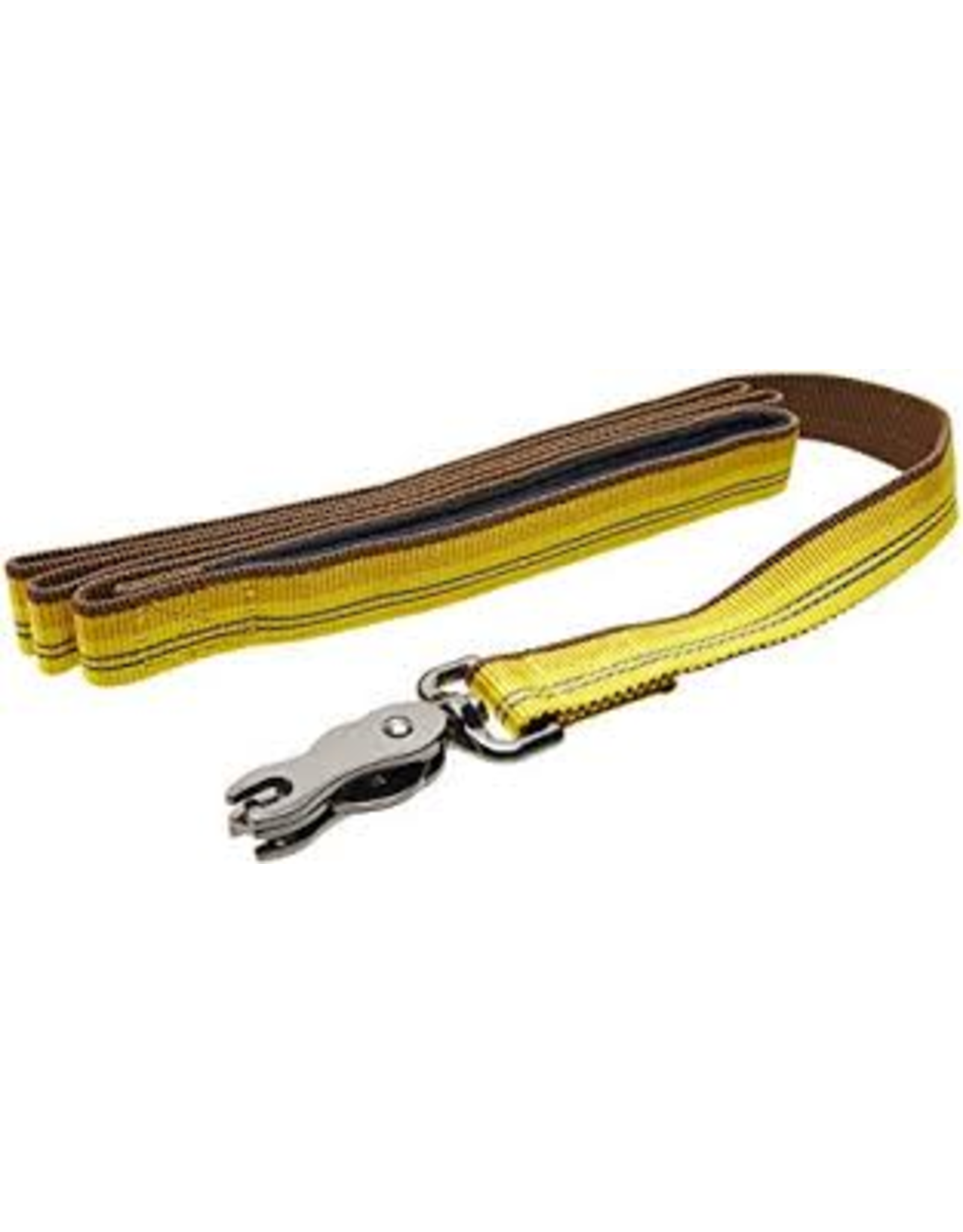 Coastal K9 Explorer laisse 6'