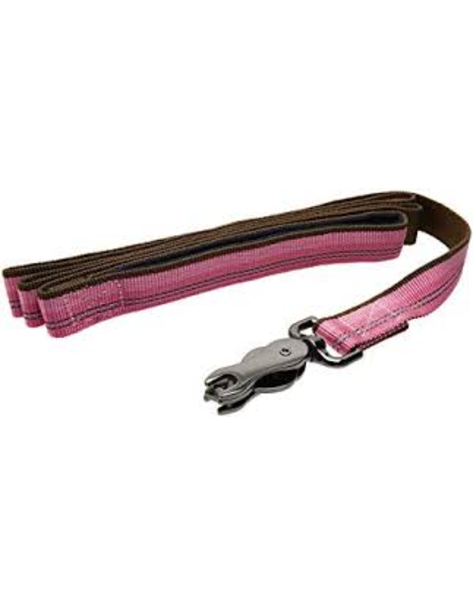 Coastal K9 Explorer laisse 6'