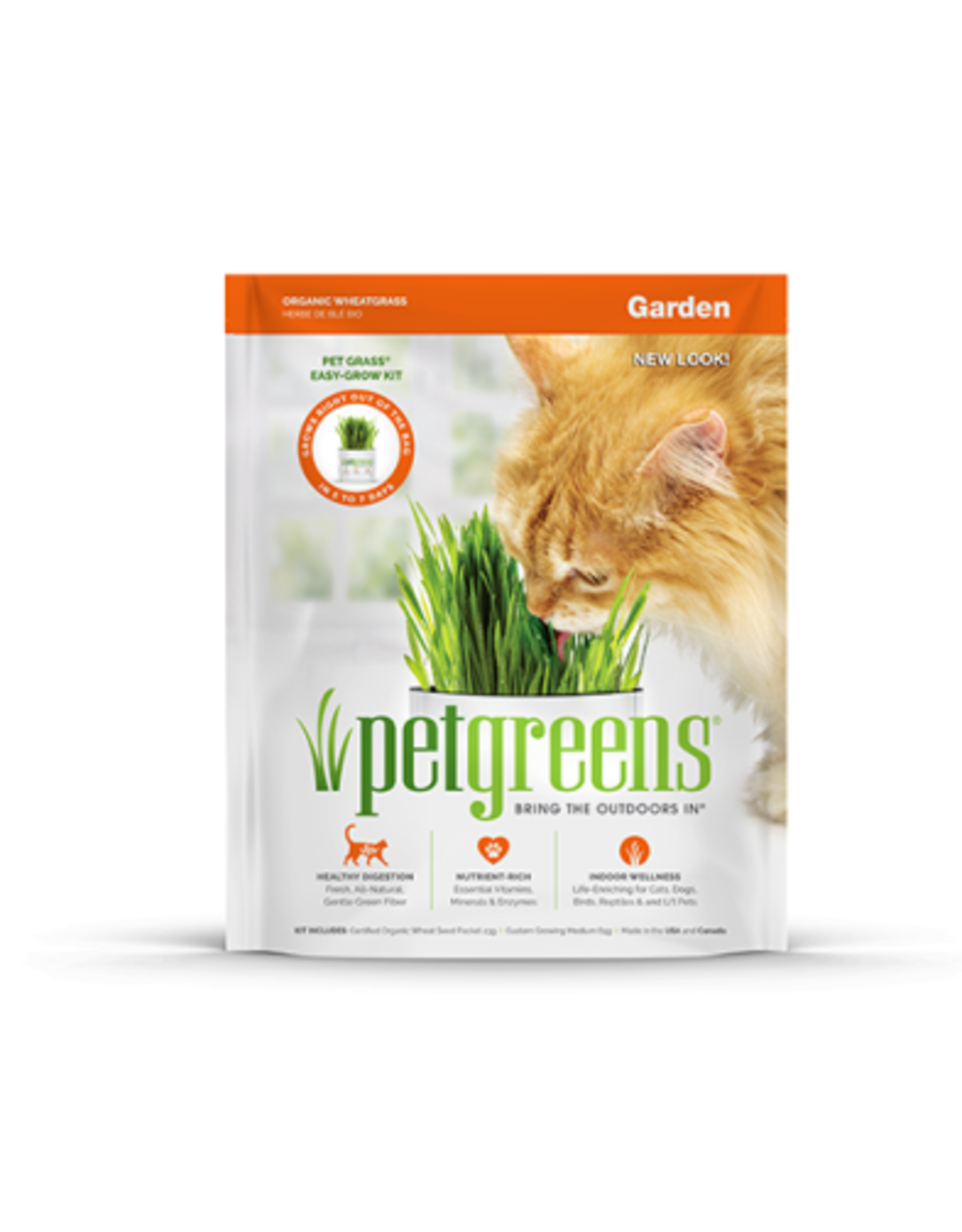 bellrock Pet Greens kit herbe à chat