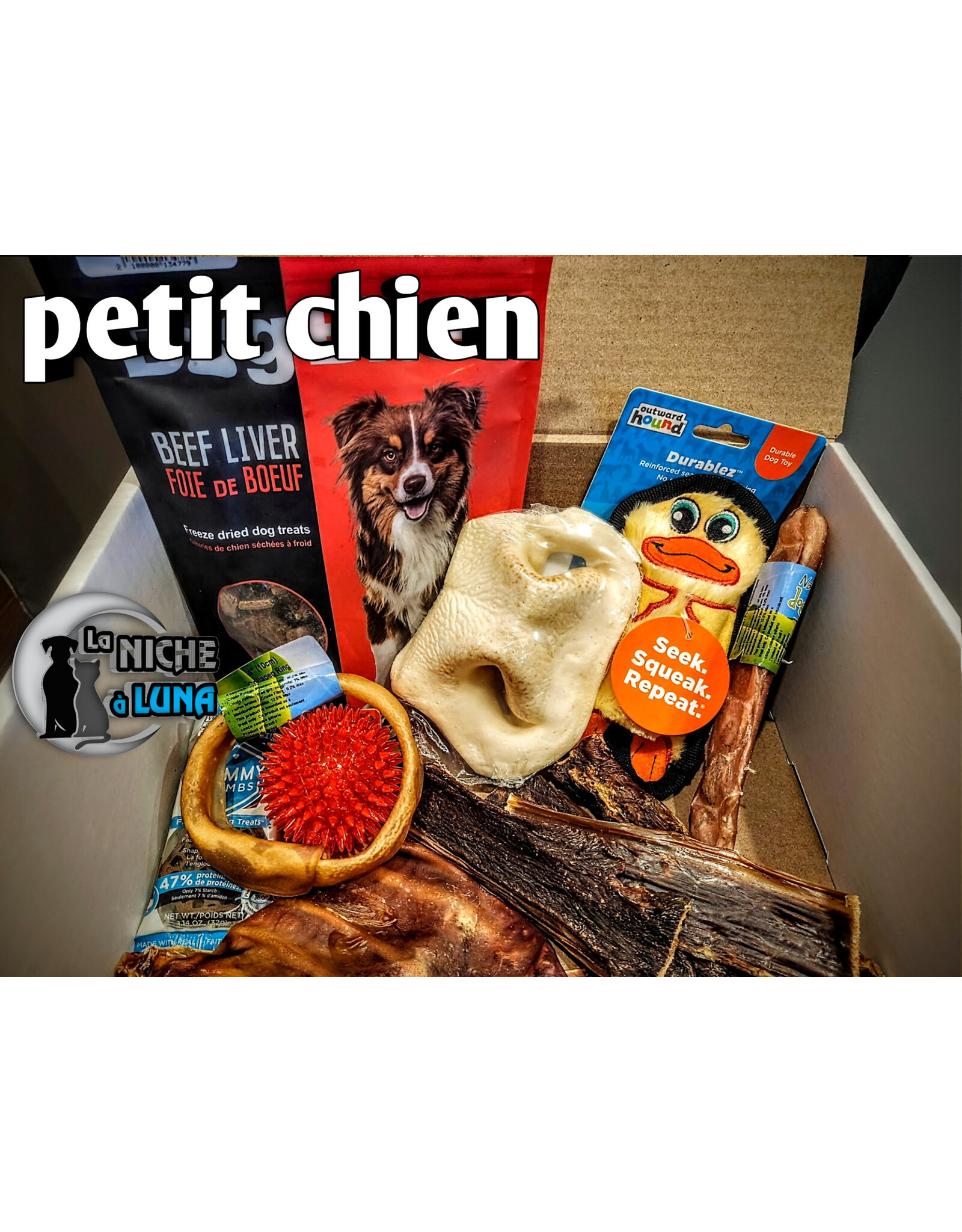 Boite Surprise Petit Chien