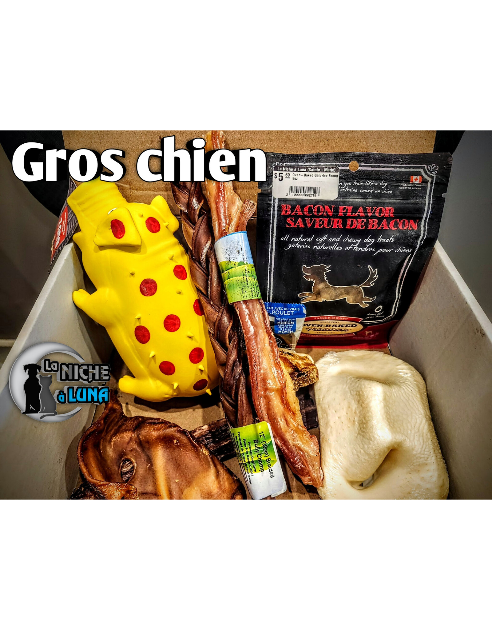 Boite Surprise Gros Chien