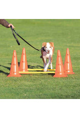 Trixie Trixie Agilité obstacle plastique 2pc