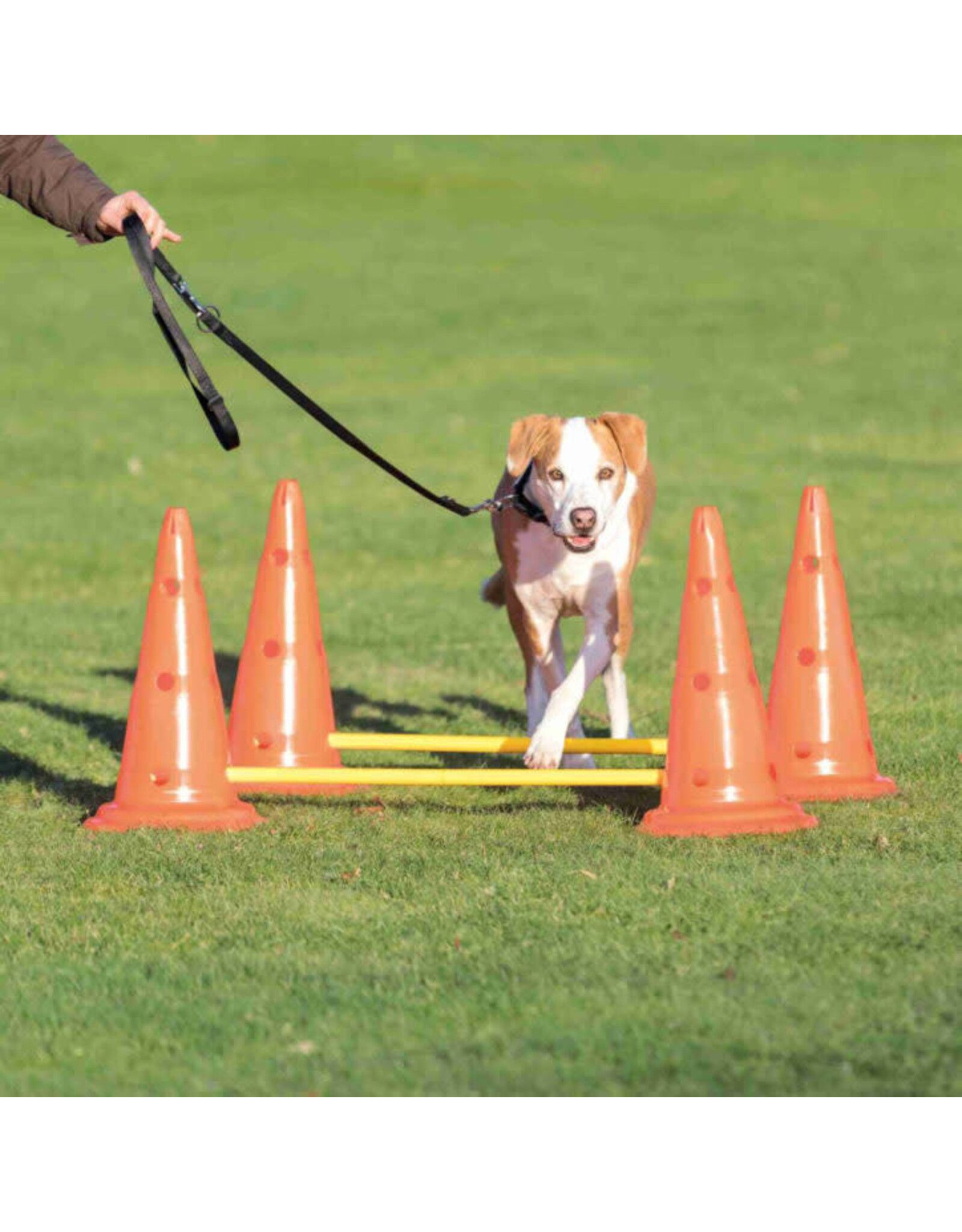 Trixie Trixie Agilité obstacle plastique 2pc