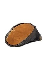 Natural Farm Natural Farm Sabot de Boeuf Farci Bacon et Fromage