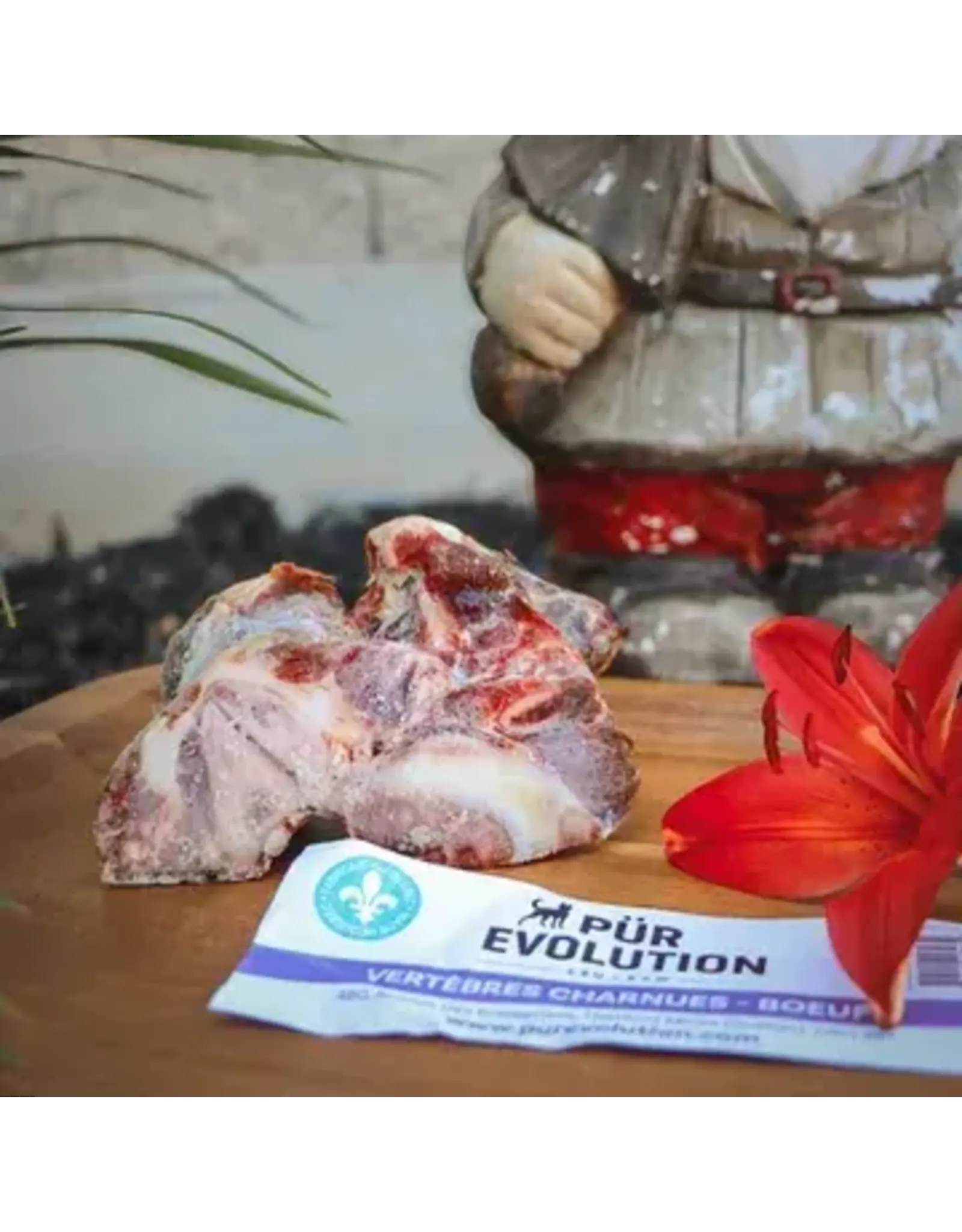 Purevolution Pürevolution vertèbre charnue boeuf