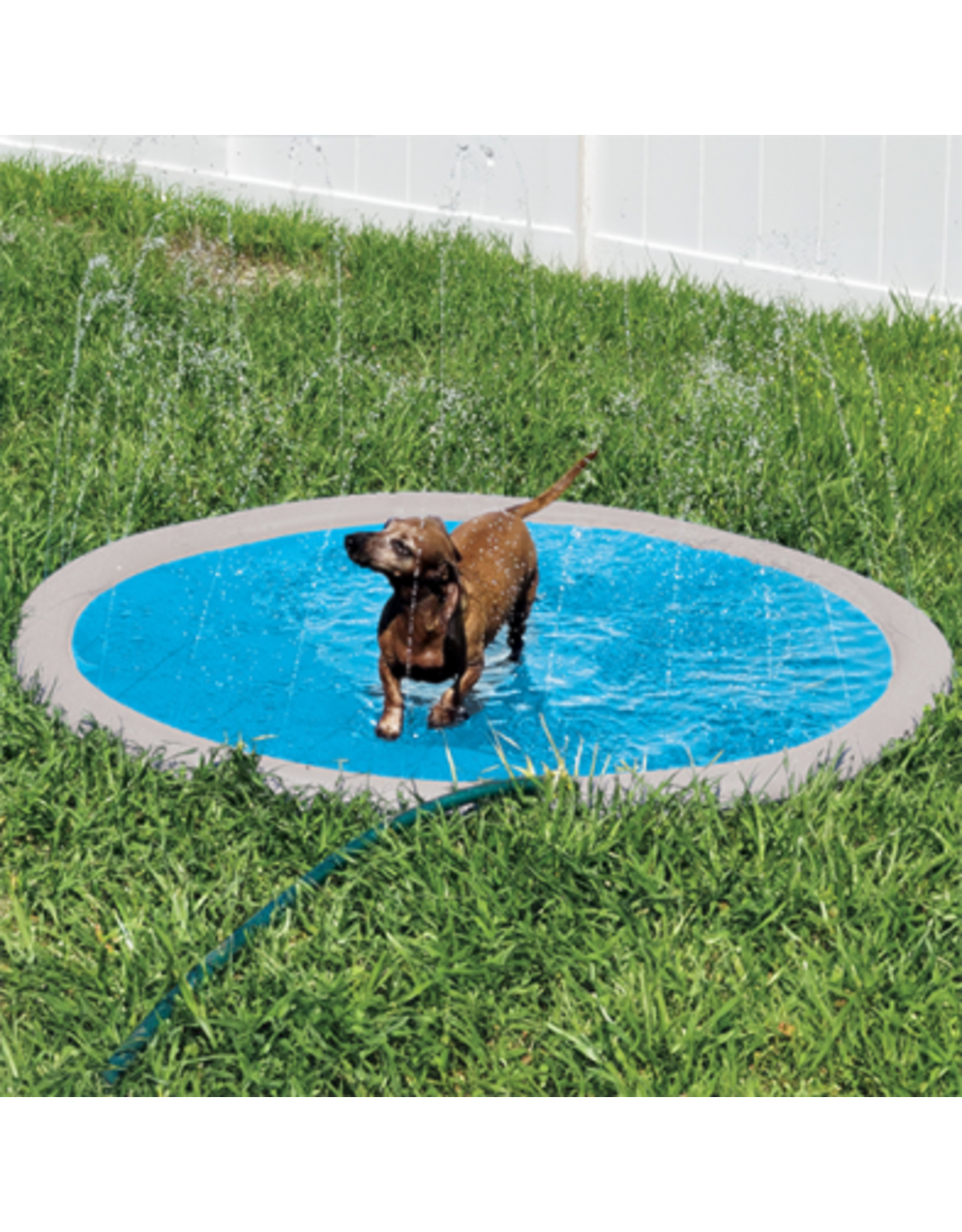 goo-eez Goo-eez Piscine arrosoir pour chien 59''