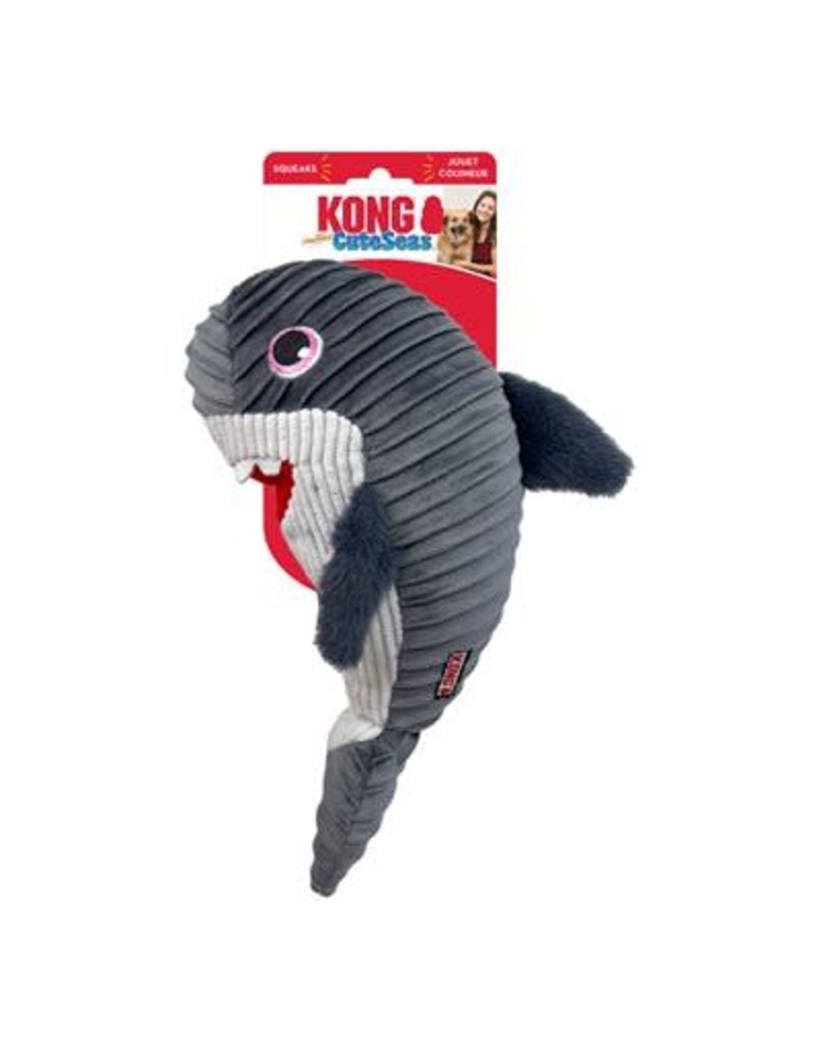 kong Kong  « Cuteseas Rufflez » Requin Moyen