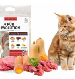 Purevolution Pürevolution échantillon félin Poulet 143g