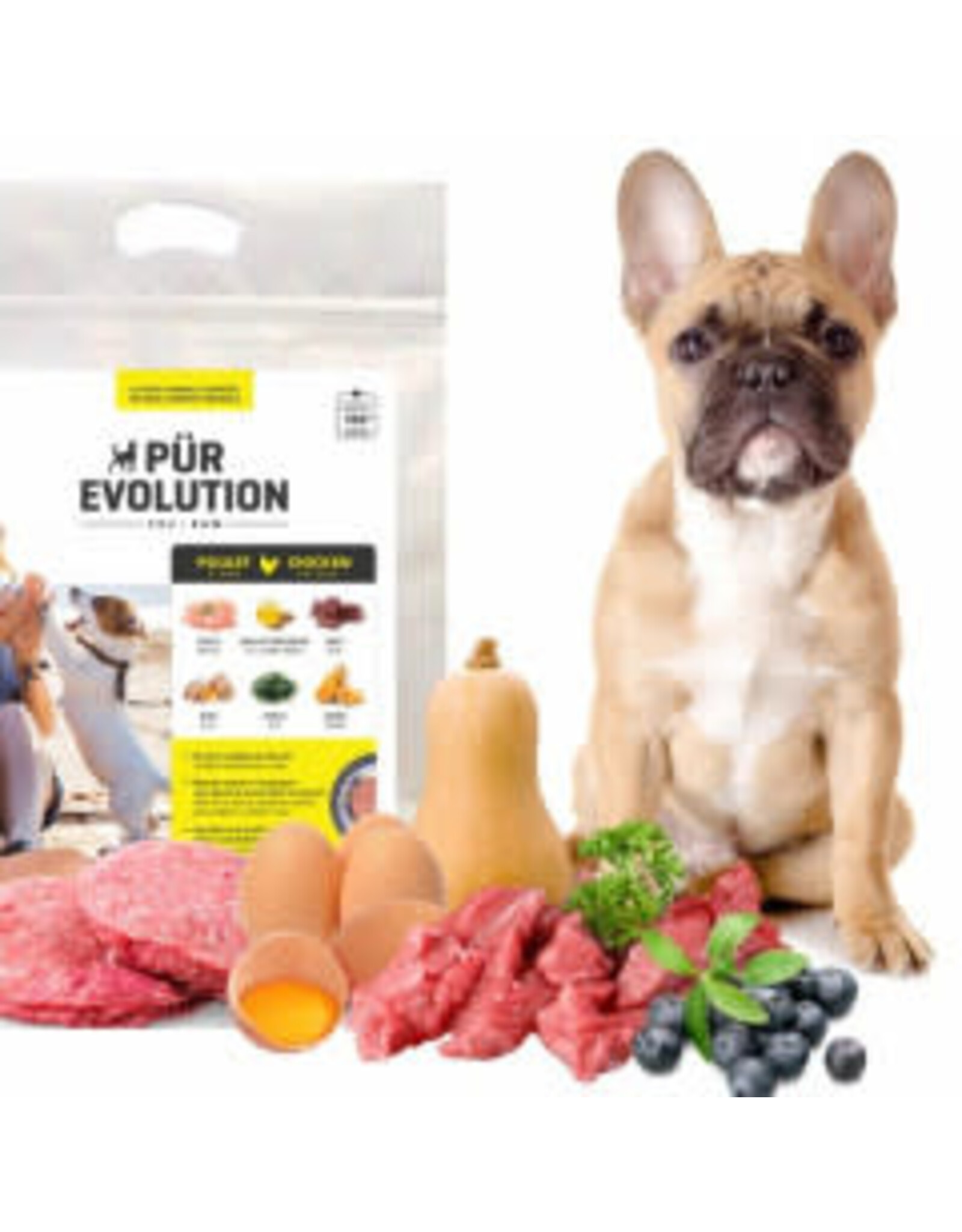 Purevolution *DISC* Pürevolution échantillon Poulet & courge 2x143g