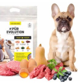 Purevolution *DISC* Pürevolution échantillon Poulet & courge 2x143g