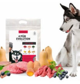 Purevolution *DISC* Pürevolution échantillon Boeuf & Poulet 143g