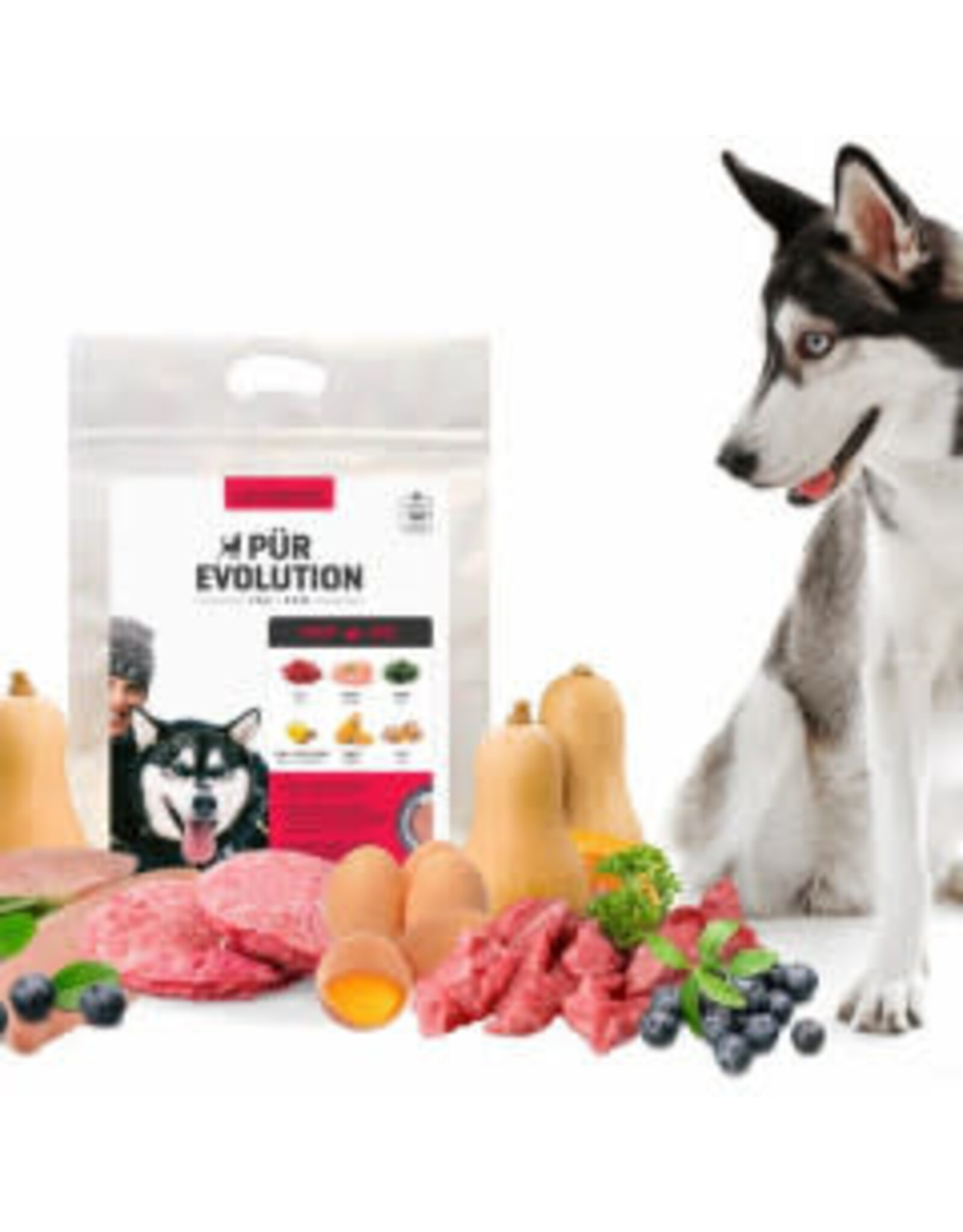 Purevolution Pürevolution échantillon Boeuf & Poulet 2x143g