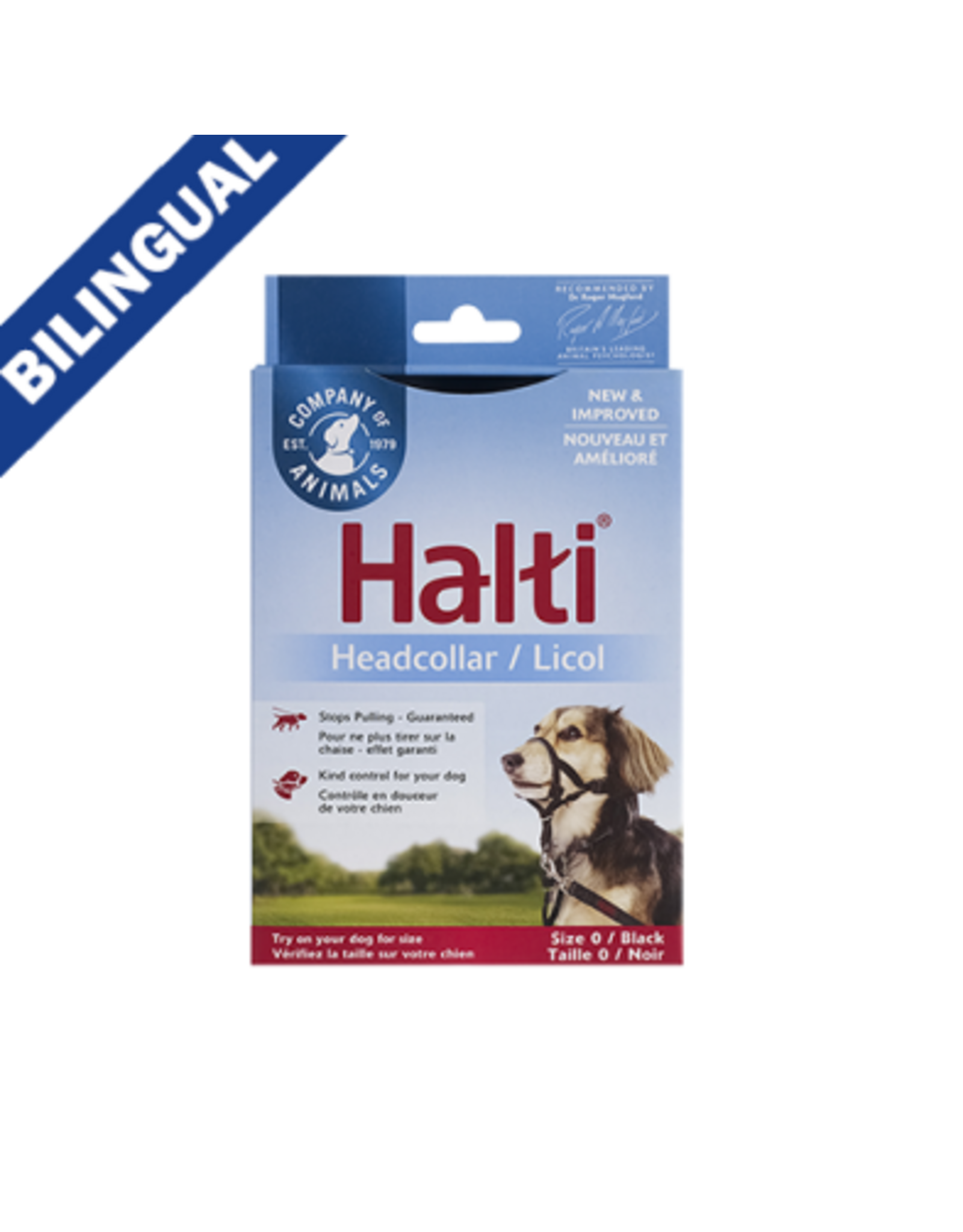 the company of animals Halti le licol