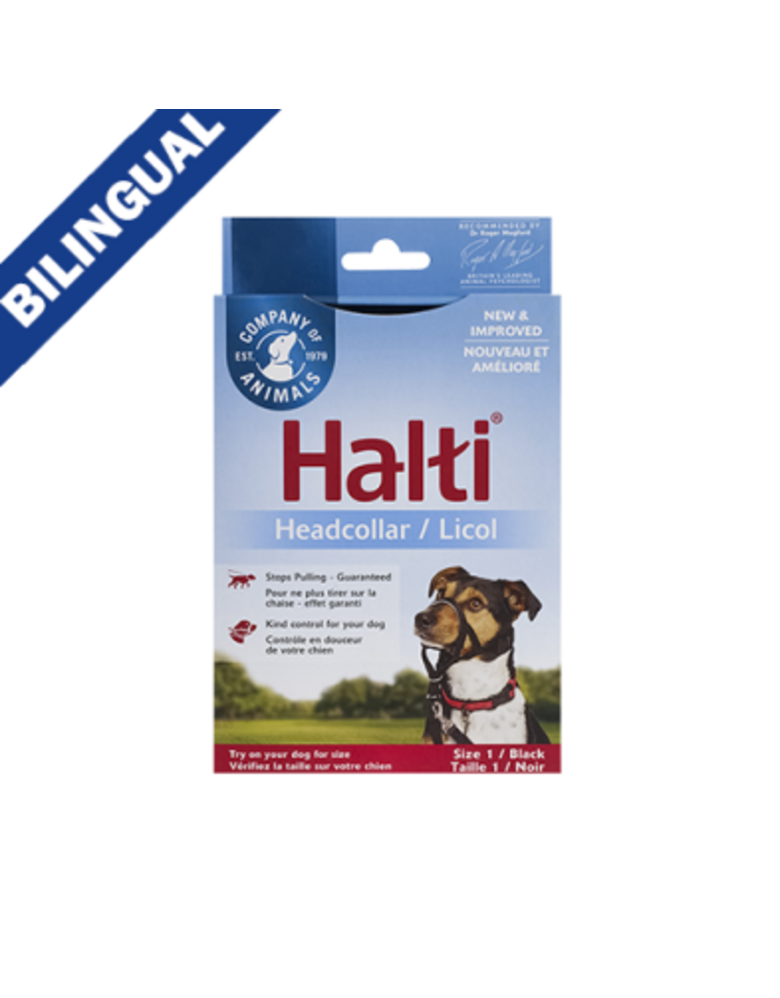 the company of animals Halti le licol