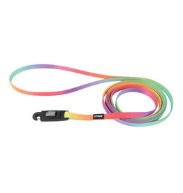 Coastal Li'l Pals laisse 3/8'' X6' PTR