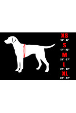 Le Chien Blanc *DISC* Le Chien Blanc harnais Moe noir  L