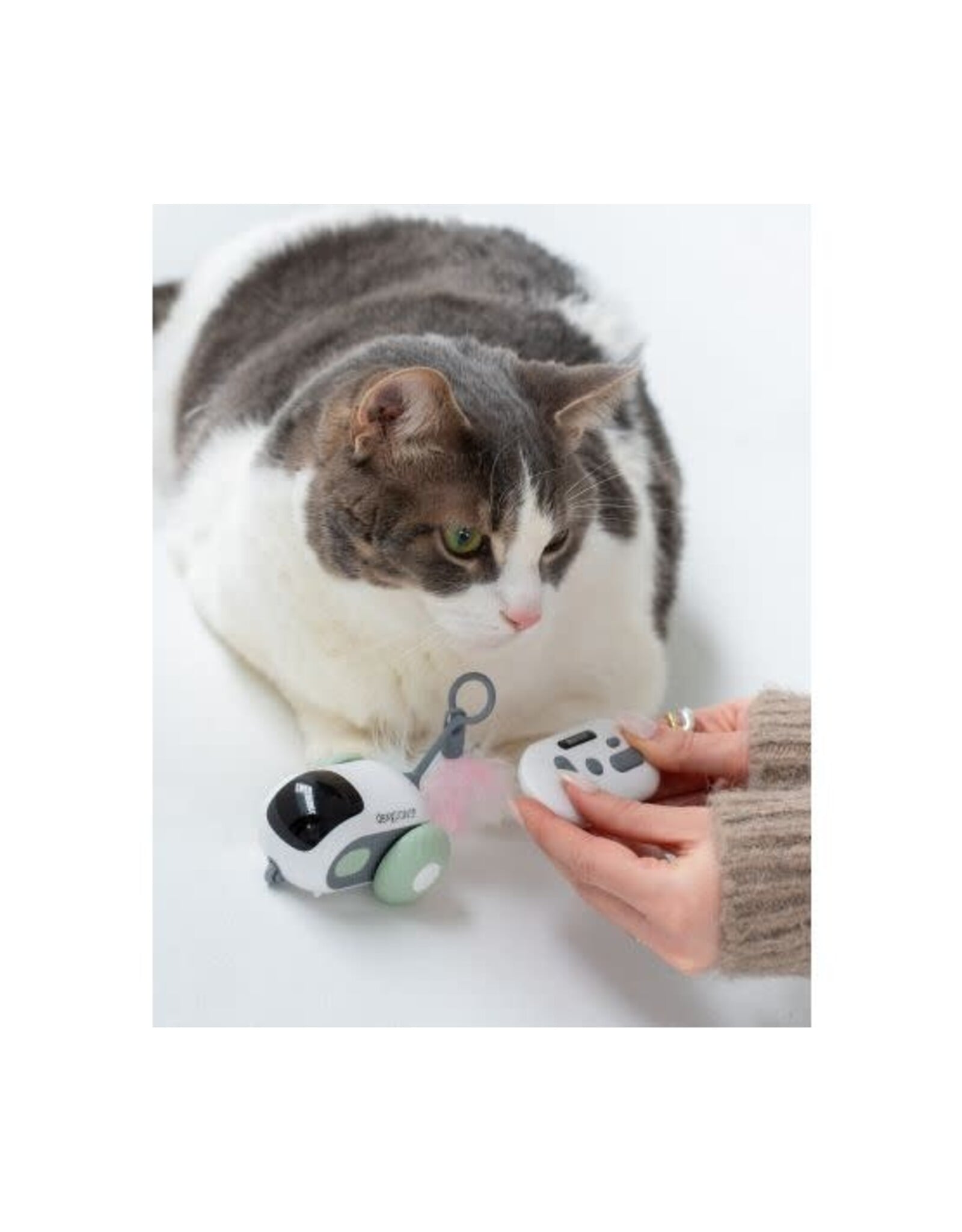 Dexypaws Dexypaws Jouet Interactif Pour Chat, Souris - Vert Sauge