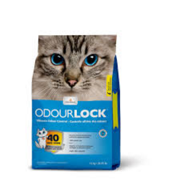 Intersand Litière Odourlock 6kg