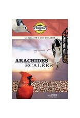 picardie Picardie Arachides écalées 10KG