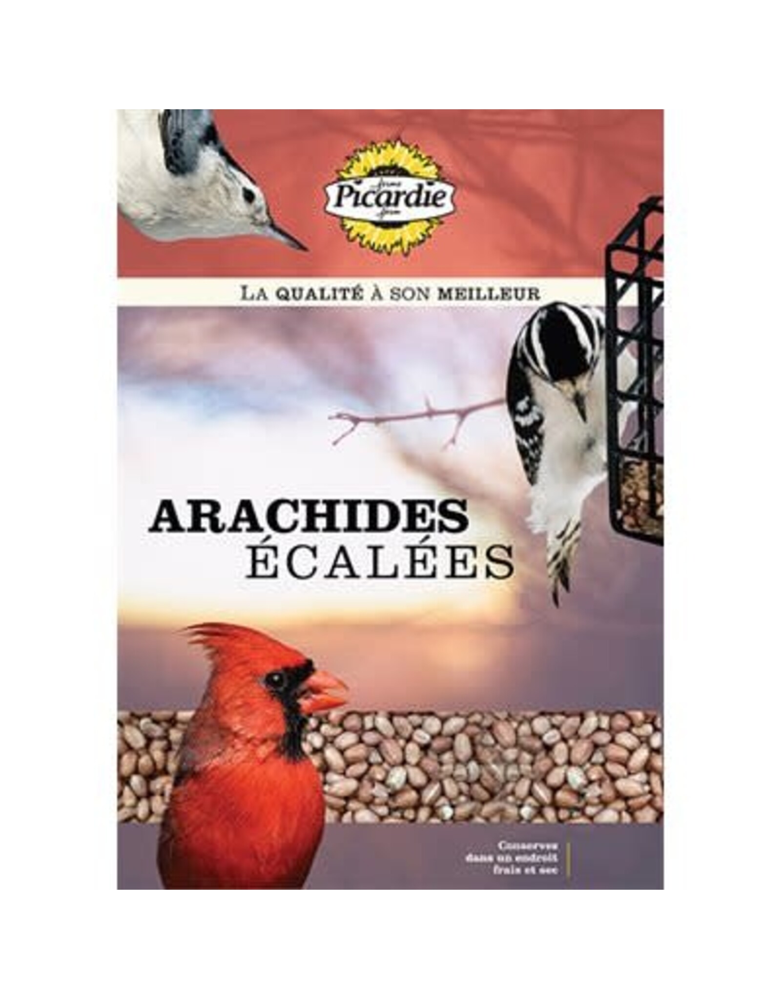 picardie Picardie Arachides écalées 10KG
