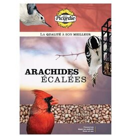 picardie Picardie Arachides écalées 10KG